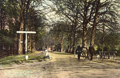 14091 Gezicht in de Amsterdamsestraatweg met bomen bij het kruispunt Praamgracht/Biltseweg te Soestdijk (gemeente ...